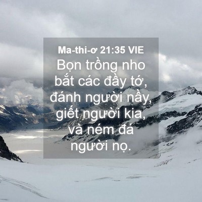Picture 04 - Ma-thi-ơ 21:35 VIE - Bọn trồng nho bắt các đầy tớ, đánh - Bible Verse Picture