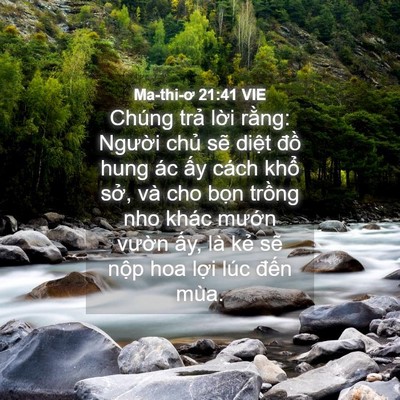 Picture 04 - Ma-thi-ơ 21:41 VIE - Chúng trả lời rằng: Người chủ sẽ - Bible Verse Picture