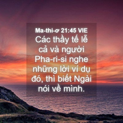 Picture 04 - Ma-thi-ơ 21:45 VIE - Các thầy tế lễ cả và người Pha-ri-si - Bible Verse Picture