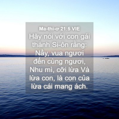 Picture 04 - Ma-thi-ơ 21:5 VIE - Hãy nói với con gái thành Si-ôn rằng: - Bible Verse Picture
