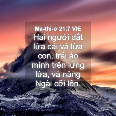 Picture 04 - Ma-thi-ơ 21:7 VIE - Hai người dắt lừa cái và lừa con, - Bible Verse Picture