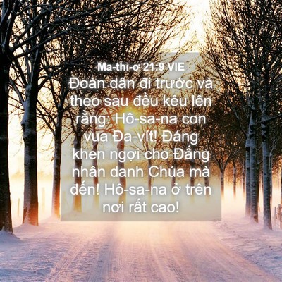 Picture 04 - Ma-thi-ơ 21:9 VIE - Đoàn dân đi trước và theo sau đều kêu - Bible Verse Picture