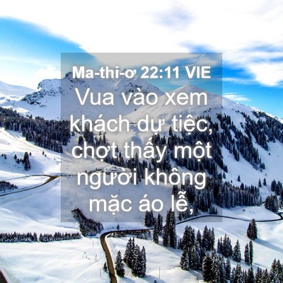Picture 04 - Ma-thi-ơ 22:11 VIE - Vua vào xem khách dự tiệc, chợt thấy - Bible Verse Picture