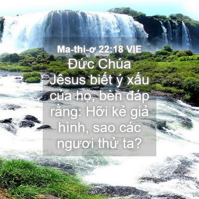 Picture 04 - Ma-thi-ơ 22:18 VIE - Đức Chúa Jêsus biết ý xấu của họ, - Bible Verse Picture