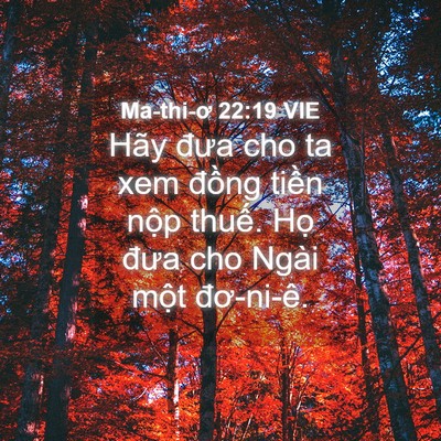 Picture 04 - Ma-thi-ơ 22:19 VIE - Hãy đưa cho ta xem đồng tiền nộp - Bible Verse Picture