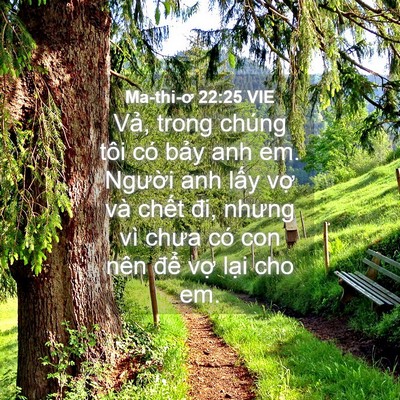 Picture 04 - Ma-thi-ơ 22:25 VIE - Vả, trong chúng tôi có bảy anh em. - Bible Verse Picture