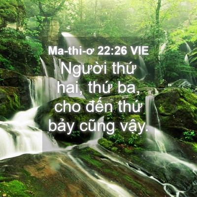 Picture 04 - Ma-thi-ơ 22:26 VIE - Người thứ hai, thứ ba, cho đến thứ - Bible Verse Picture