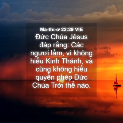 Picture 04 - Ma-thi-ơ 22:29 VIE - Đức Chúa Jêsus đáp rằng: Các ngươi - Bible Verse Picture