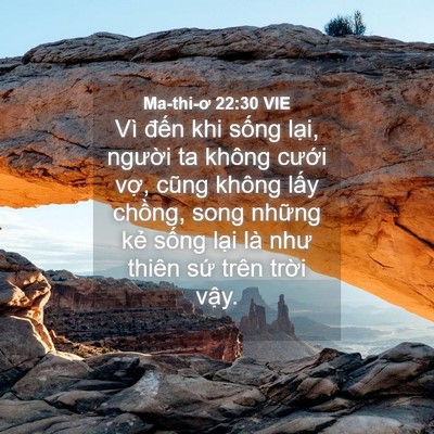 Picture 04 - Ma-thi-ơ 22:30 VIE - Vì đến khi sống lại, người ta không - Bible Verse Picture