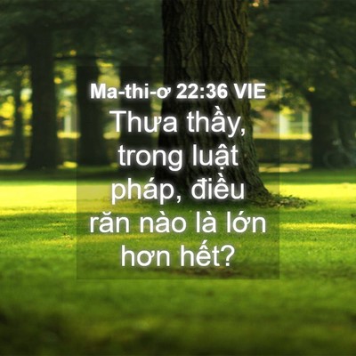 Picture 04 - Ma-thi-ơ 22:36 VIE - Thưa thầy, trong luật pháp, điều răn - Bible Verse Picture