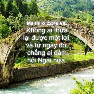 Picture 04 - Ma-thi-ơ 22:46 VIE - Không ai thưa lại được một lời, và - Bible Verse Picture