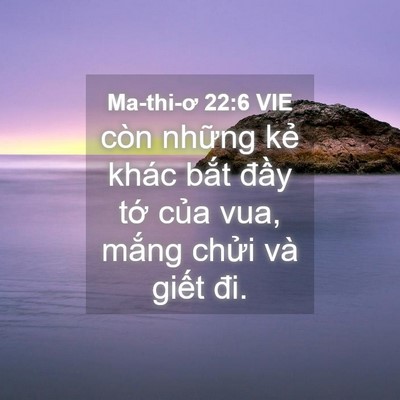 Picture 04 - Ma-thi-ơ 22:6 VIE - còn những kẻ khác bắt đầy tớ của - Bible Verse Picture