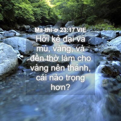 Picture 04 - Ma-thi-ơ 23:17 VIE - Hỡi kẻ dại và mù, vàng, và đền thờ - Bible Verse Picture