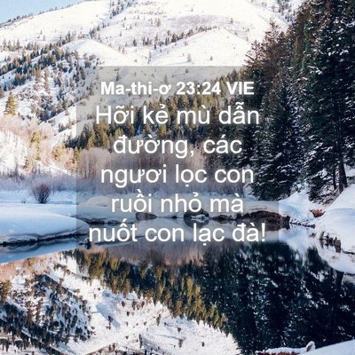 Picture 04 - Ma-thi-ơ 23:24 VIE - Hỡi kẻ mù dẫn đường, các ngươi - Bible Verse Picture