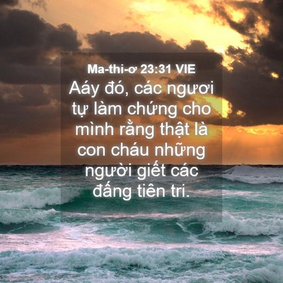 Picture 04 - Ma-thi-ơ 23:31 VIE - Aáy đó, các ngươi tự làm chứng cho - Bible Verse Picture
