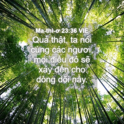 Picture 04 - Ma-thi-ơ 23:36 VIE - Quả thật, ta nói cùng các ngươi, mọi - Bible Verse Picture