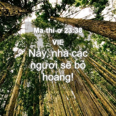 Picture 04 - Ma-thi-ơ 23:38 VIE - Nầy, nhà các ngươi sẽ bỏ - Bible Verse Picture