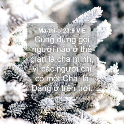 Picture 04 - Ma-thi-ơ 23:9 VIE - Cũng đừng gọi người nào ở thế gian - Bible Verse Picture