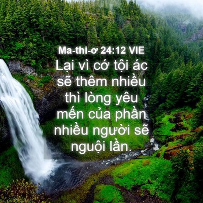 Picture 04 - Ma-thi-ơ 24:12 VIE - Lại vì cớ tội ác sẽ thêm nhiều thì - Bible Verse Picture