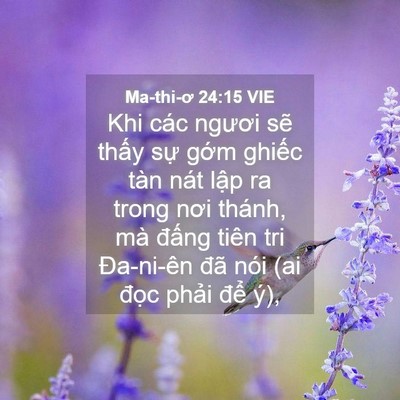 Picture 04 - Ma-thi-ơ 24:15 VIE - Khi các ngươi sẽ thấy sự gớm ghiếc - Bible Verse Picture