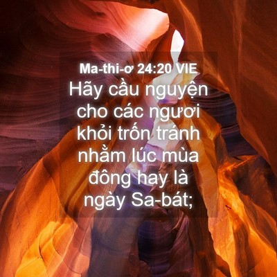 Picture 04 - Ma-thi-ơ 24:20 VIE - Hãy cầu nguyện cho các ngươi khỏi - Bible Verse Picture