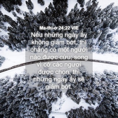 Picture 04 - Ma-thi-ơ 24:22 VIE - Nếu những ngày ấy không giảm bớt, - Bible Verse Picture
