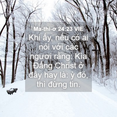 Picture 04 - Ma-thi-ơ 24:23 VIE - Khi ấy, nếu có ai nói với các ngươi - Bible Verse Picture