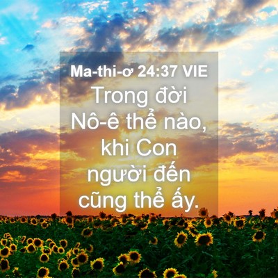 Picture 04 - Ma-thi-ơ 24:37 VIE - Trong đời Nô-ê thể nào, khi Con người - Bible Verse Picture