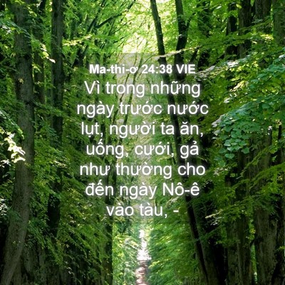 Picture 04 - Ma-thi-ơ 24:38 VIE - Vì trong những ngày trước nước lụt, - Bible Verse Picture