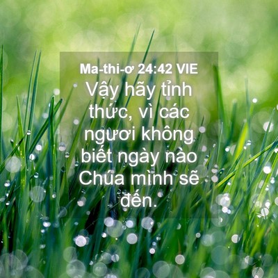 Picture 04 - Ma-thi-ơ 24:42 VIE - Vậy hãy tỉnh thức, vì các ngươi không - Bible Verse Picture