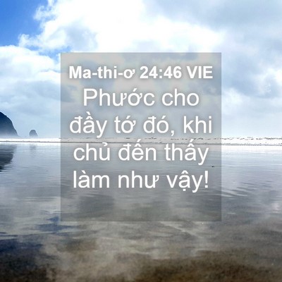 Picture 04 - Ma-thi-ơ 24:46 VIE - Phước cho đầy tớ đó, khi chủ đến - Bible Verse Picture