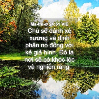 Picture 04 - Ma-thi-ơ 24:51 VIE - Chủ sẽ đánh xé xương và định phần - Bible Verse Picture