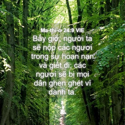 Picture 04 - Ma-thi-ơ 24:9 VIE - Bấy giờ, người ta sẽ nộp các ngươi - Bible Verse Picture