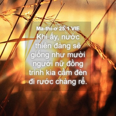 Picture 04 - Ma-thi-ơ 25:1 VIE - Khi ấy, nước thiên đàng sẽ giống như - Bible Verse Picture