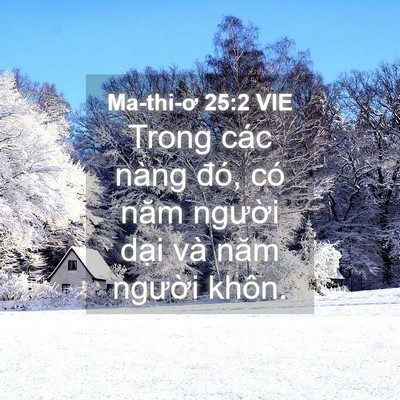 Picture 04 - Ma-thi-ơ 25:2 VIE - Trong các nàng đó, có năm người dại - Bible Verse Picture