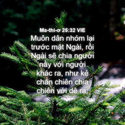 Picture 04 - Ma-thi-ơ 25:32 VIE - Muôn dân nhóm lại trước mặt Ngài, - Bible Verse Picture