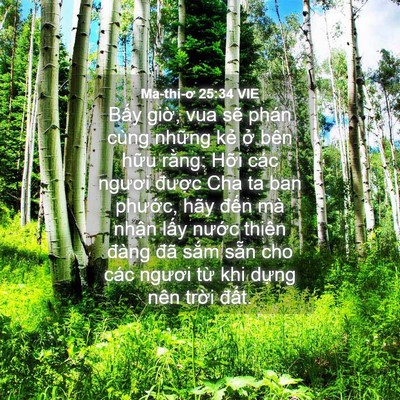 Picture 04 - Ma-thi-ơ 25:34 VIE - Bấy giờ, vua sẽ phán cùng những kẻ - Bible Verse Picture