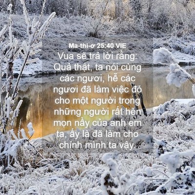 Picture 04 - Ma-thi-ơ 25:40 VIE - Vua sẽ trả lời rằng: Quả thật, ta - Bible Verse Picture