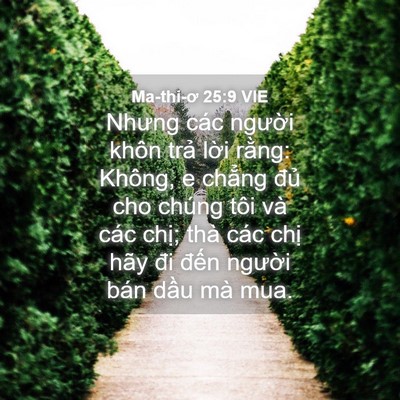 Picture 04 - Ma-thi-ơ 25:9 VIE - Nhưng các người khôn trả lời rằng: - Bible Verse Picture