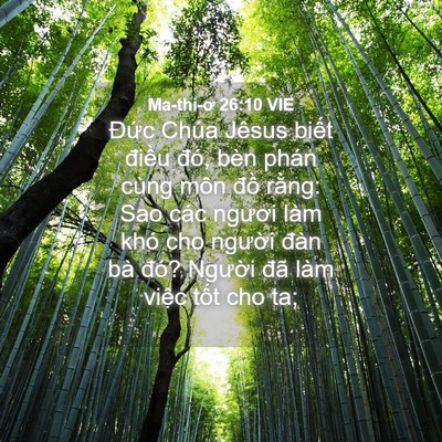 Picture 04 - Ma-thi-ơ 26:10 VIE - Đức Chúa Jêsus biết điều đó, bèn - Bible Verse Picture
