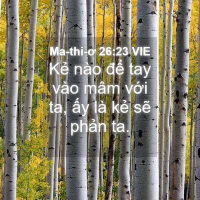 Picture 04 - Ma-thi-ơ 26:23 VIE - Kẻ nào để tay vào mâm với ta, ấy là - Bible Verse Picture