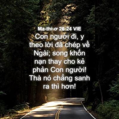 Picture 04 - Ma-thi-ơ 26:24 VIE - Con người đi, y theo lời đã chép về - Bible Verse Picture