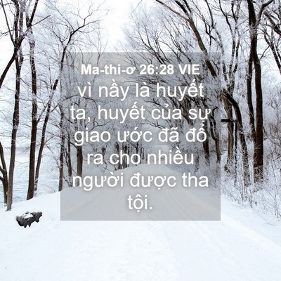 Picture 04 - Ma-thi-ơ 26:28 VIE - vì nầy là huyết ta, huyết của sự giao - Bible Verse Picture