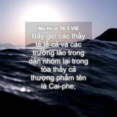 Picture 04 - Ma-thi-ơ 26:3 VIE - Bấy giờ các thầy tế lễ cả và các - Bible Verse Picture
