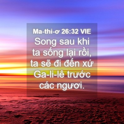 Picture 04 - Ma-thi-ơ 26:32 VIE - Song sau khi ta sống lại rồi, ta sẽ đi - Bible Verse Picture