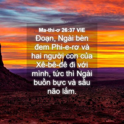 Picture 04 - Ma-thi-ơ 26:37 VIE - Đoạn, Ngài bèn đem Phi-e-rơ và hai - Bible Verse Picture