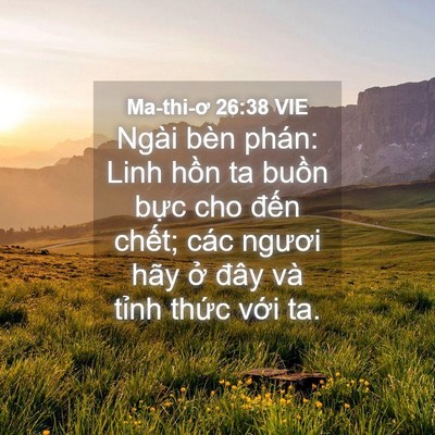 Picture 04 - Ma-thi-ơ 26:38 VIE - Ngài bèn phán: Linh hồn ta buồn bực cho - Bible Verse Picture