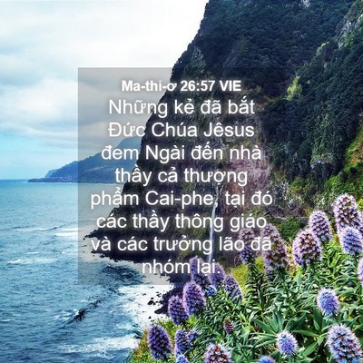 Picture 04 - Ma-thi-ơ 26:57 VIE - Những kẻ đã bắt Đức Chúa Jêsus đem - Bible Verse Picture