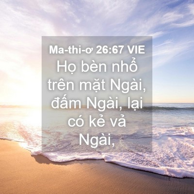 Picture 04 - Ma-thi-ơ 26:67 VIE - Họ bèn nhổ trên mặt Ngài, đấm Ngài, - Bible Verse Picture