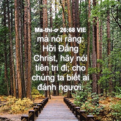 Picture 04 - Ma-thi-ơ 26:68 VIE - mà nói rằng: Hỡi Đấng Christ, hãy nói - Bible Verse Picture